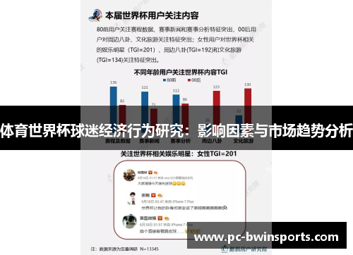 体育世界杯球迷经济行为研究：影响因素与市场趋势分析