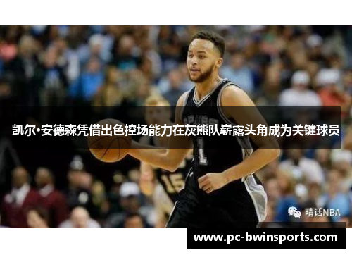 凯尔·安德森凭借出色控场能力在灰熊队崭露头角成为关键球员
