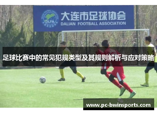 足球比赛中的常见犯规类型及其规则解析与应对策略