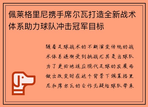 佩莱格里尼携手席尔瓦打造全新战术体系助力球队冲击冠军目标