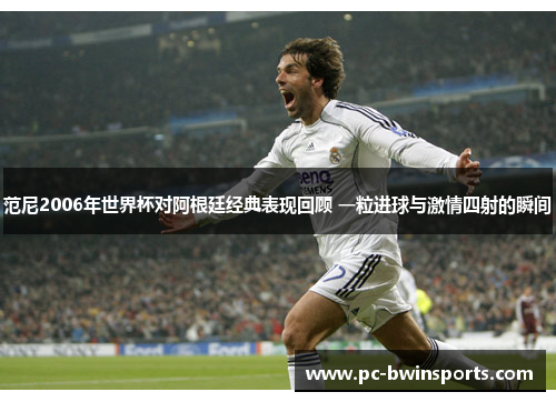 范尼2006年世界杯对阿根廷经典表现回顾 一粒进球与激情四射的瞬间