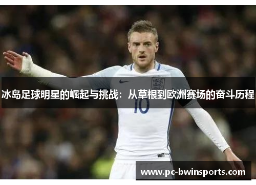 冰岛足球明星的崛起与挑战：从草根到欧洲赛场的奋斗历程