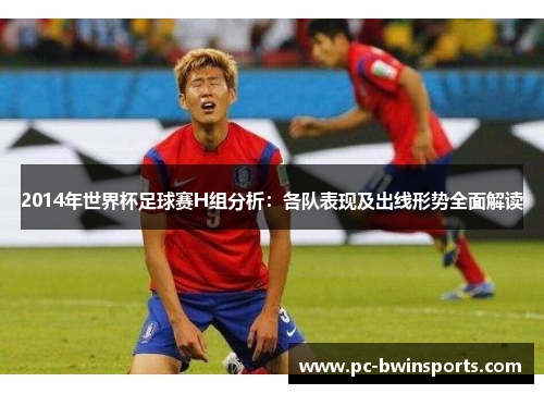 2014年世界杯足球赛H组分析：各队表现及出线形势全面解读