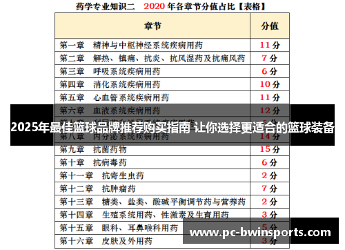 2025年最佳篮球品牌推荐购买指南 让你选择更适合的篮球装备