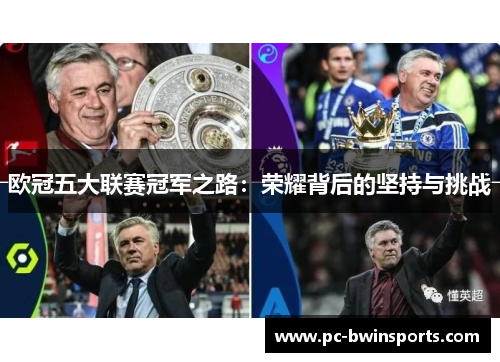 欧冠五大联赛冠军之路：荣耀背后的坚持与挑战