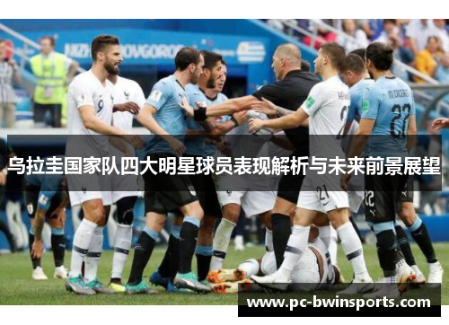 乌拉圭国家队四大明星球员表现解析与未来前景展望