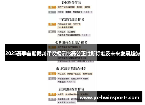 2025赛季首期裁判评议揭示比赛公正性新标准及未来发展趋势