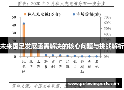 未来国足发展亟需解决的核心问题与挑战解析