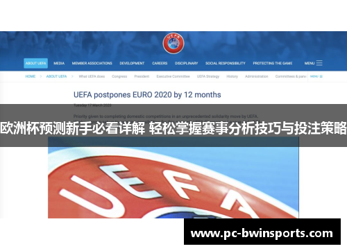 欧洲杯预测新手必看详解 轻松掌握赛事分析技巧与投注策略